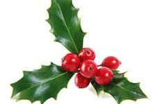 Stress Less When It’s Time to Catch Up