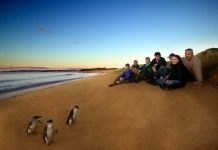 Phillip Island Nature Parks