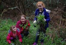 Nature gets a helping hand