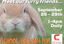 Meet our furry friends at Shopping on Clyde - 26/09/2016