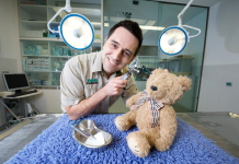 Teddies help kids share the care