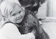 Grand adventure between the pages