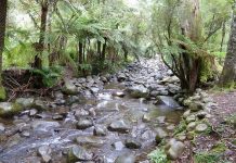 Creek Play at Healesville Sanctuary - 21/12/2016