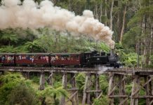 On track for a great day out