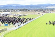 Cardinia Shire Kids Night Out