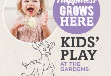 Kids Play at the Gardens - 19/12/2017
