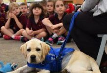 Classy start as Hilly preps for work