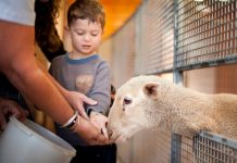 Gear up for an island adventure