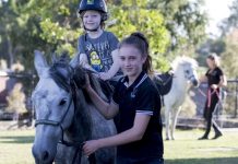 Fun for all at kids night out