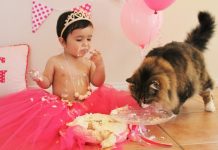 A smashing birthday cake trend