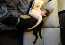 Wonder dog transforms Ollie’s life