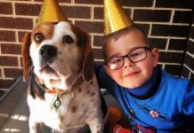 Pets, kids a ‘pawsome’ match