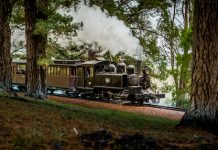 Gem of a deal for Puffing Billy anniversary