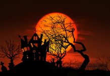 Spooktacular events this Halloween