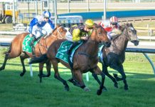 Kids Night Out at Cranbourne Turf Club