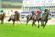 Cardinia Shire Kids Night Out