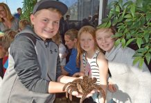 Your guide to what’s on during the winter school holidays