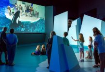 Explore Antarctica on Phillip Island