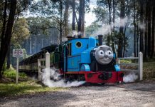 Thomas and friends return to Puffing Billy