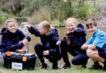 Sea Care ambassadors learning and teaching