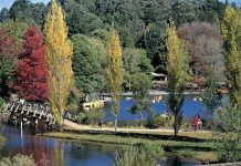 Parks reopening in Casey and Cardinia