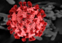 Avoid Casey and Cardinia: medical experts