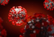 Return to remote learning to curb COVID-19 cases