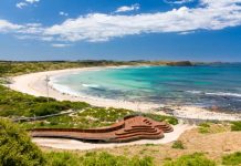 Summer fun for the whole family