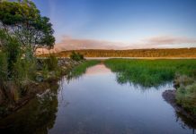 Great spots for a picnic