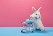 Are you bunny serious?