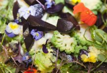 Casey’s cornucopia to overflow this winter