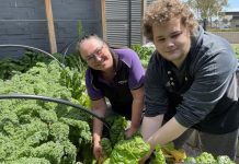 Lime Box Cafe serves