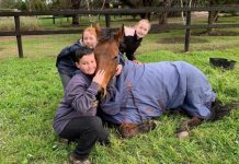 Healing with the help of horses