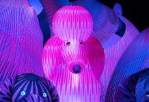 Calling all dog lovers