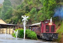 Come and experience Walhalla Goldfields Railway
