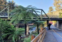 Winter at Walhalla Goldfields Railway