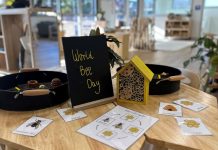 Nurturing lifelong learners