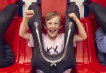 Scream and save with a Luna Park Family Pass