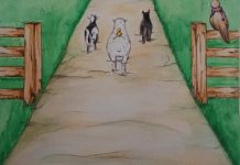 Chickaboo flies the coop to Paris