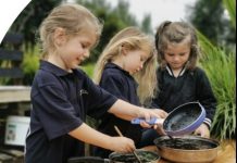 A sanctuary for learning, development and growth