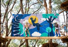 Enliven your senses, challenge your mind