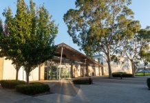 Festive fun and Friday flicks