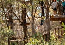 Enchanting adventure awaits