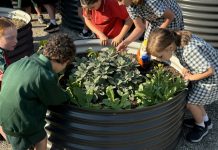 Nurturing hearts and minds