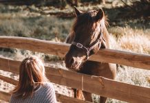‘It was the first time they had spoken in therapy’